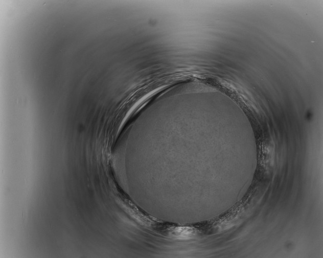 X0000098180324200805011042