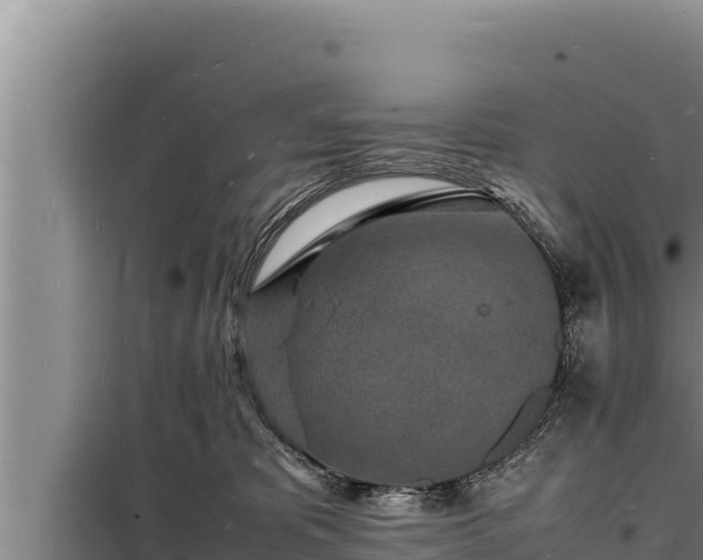 X0000098180325200805011042