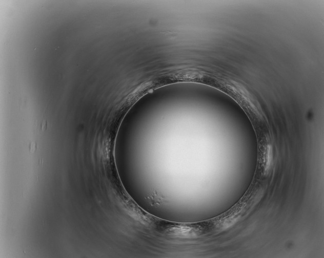 X0000098180326200805011042