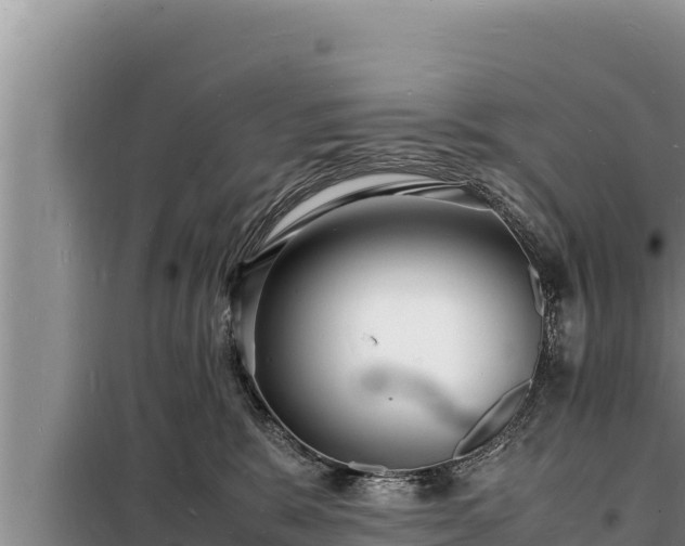 X0000098180327200805011042