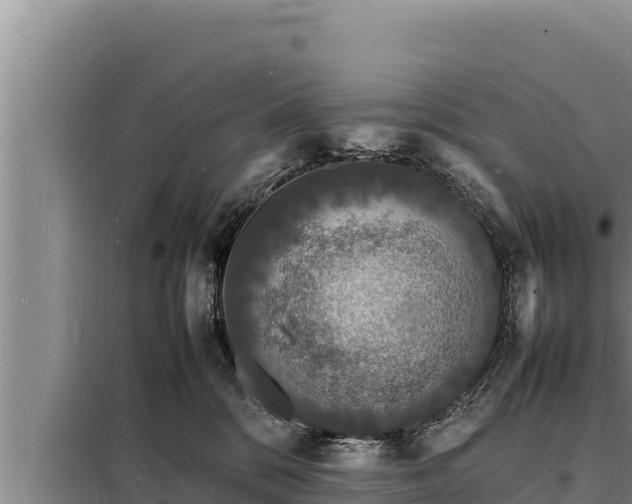 X0000098180328200805011042