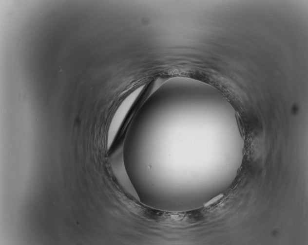 X0000098180329200805011042