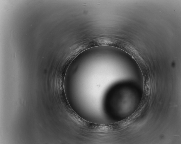 X0000098180330200805011042