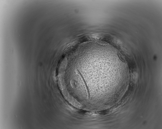 X0000098180331200805011042