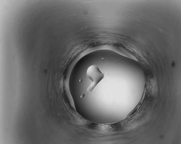 X0000098180333200805011042