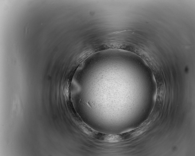 X0000098180334200805011042