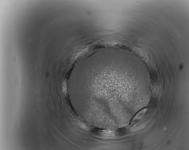 X0000098180335200805011042