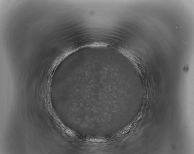 X0000098180337200805011041