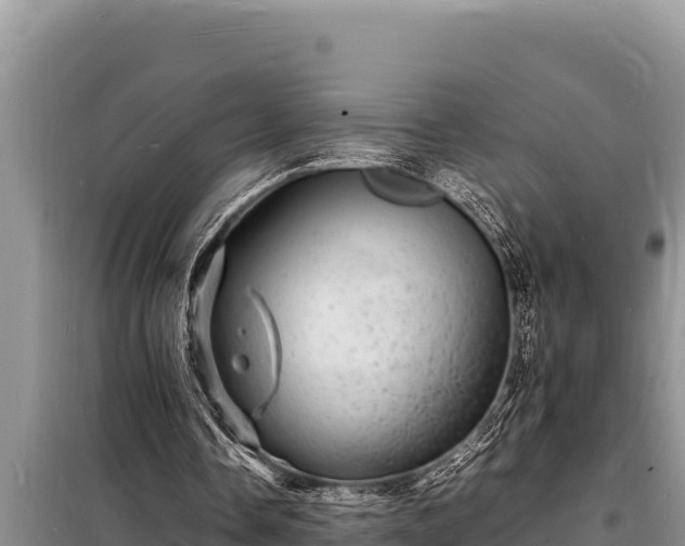 X0000098180338200805011041