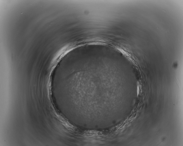 X0000098180339200805011041