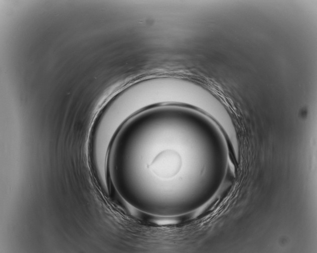 X0000098180340200805011041