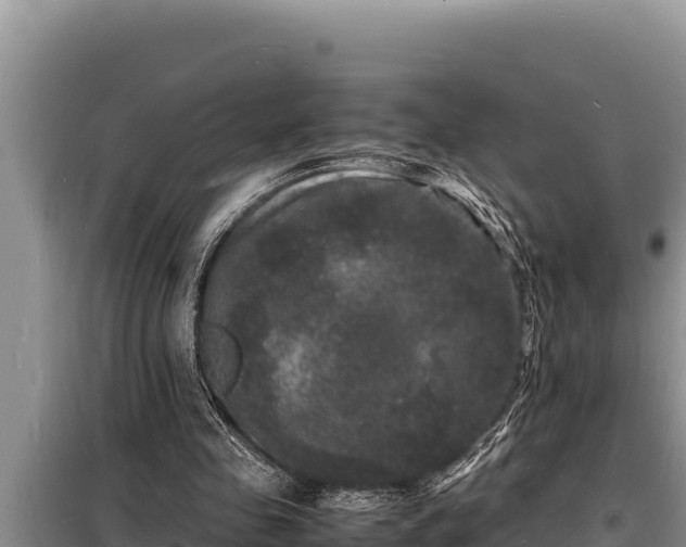 X0000098180341200805011041