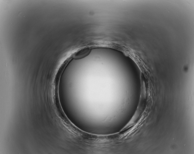 X0000098180342200805011041