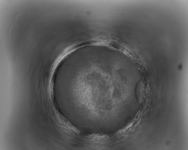 X0000098180343200805011041