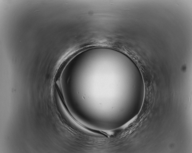 X0000098180344200805011041