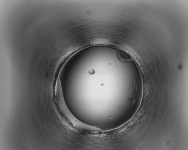 X0000098180345200805011041