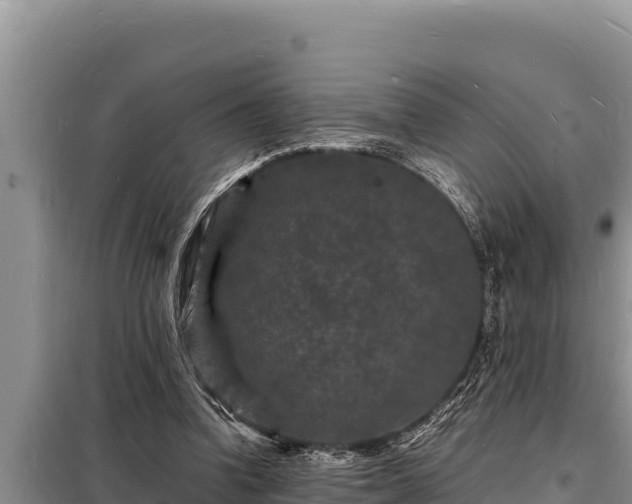 X0000098180346200805011041