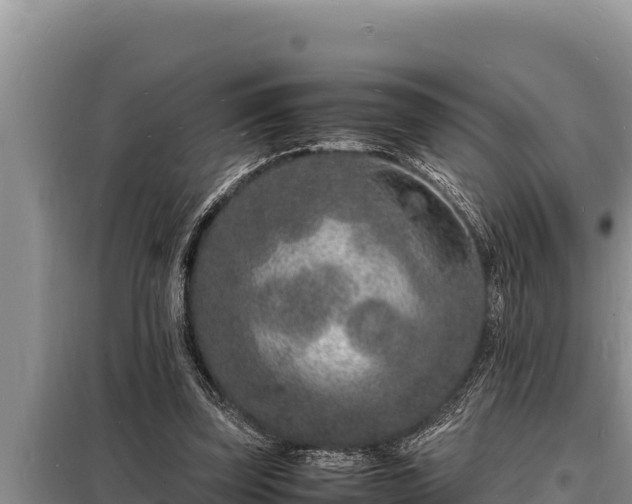 X0000098180347200805011041