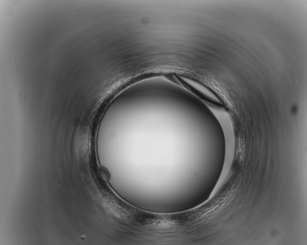 X0000098180348200805011041