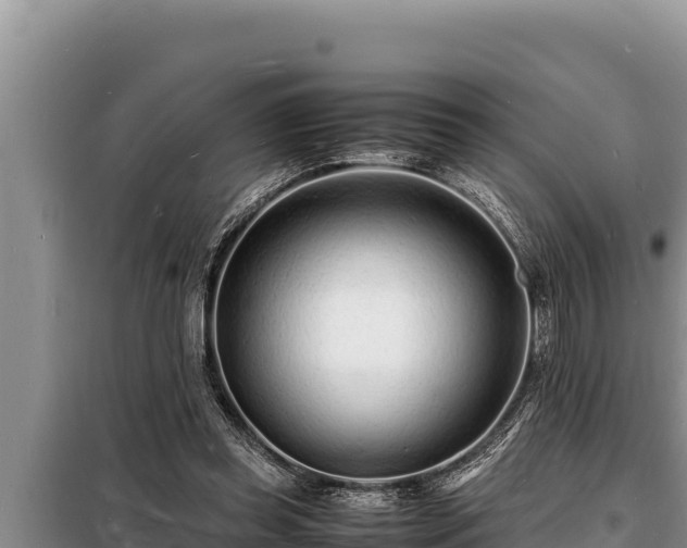 X0000098180349200805011041