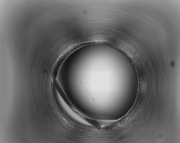 X0000098180350200805011041