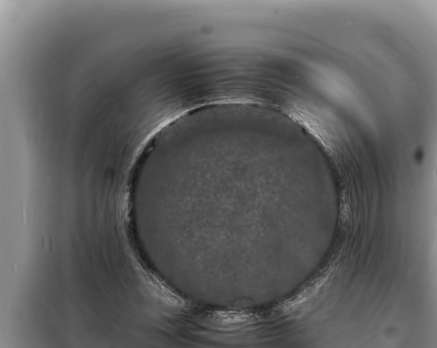 X0000098180351200805011041