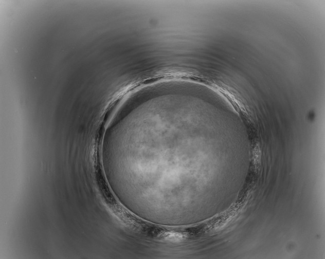 X0000098180352200805011041