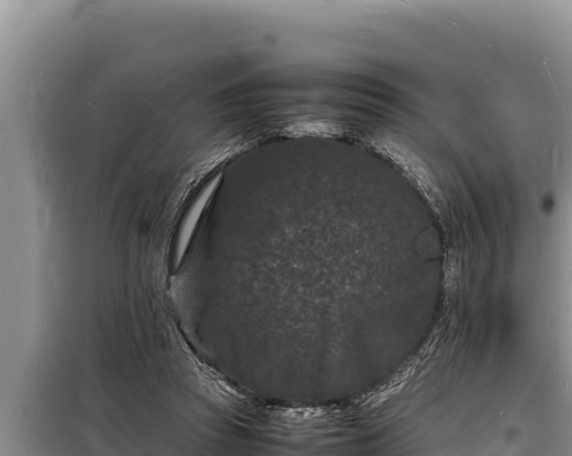 X0000098180353200805011041