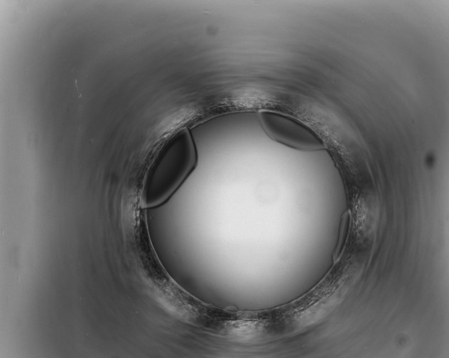 X0000098180356200805011041