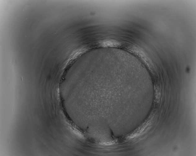 X0000098180357200805011041