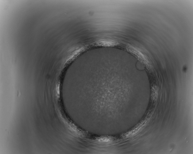 X0000098180358200805011041