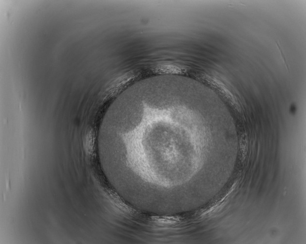 X0000098180359200805011041