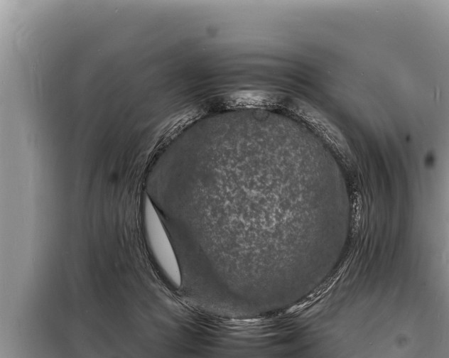 X0000098180361200805011041