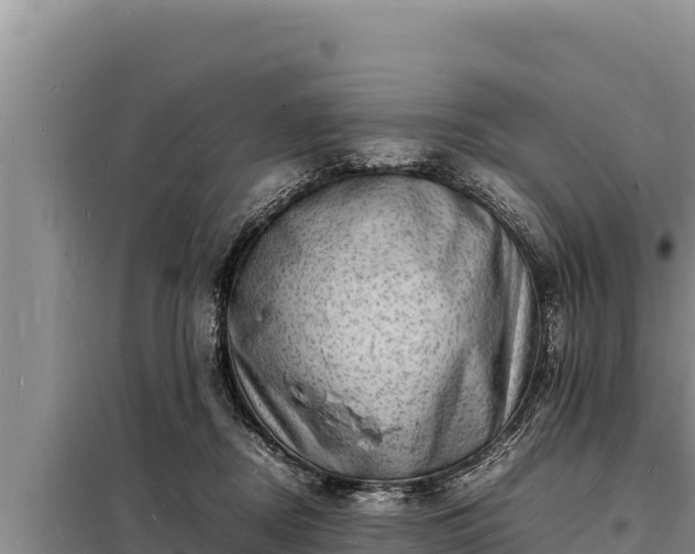 X0000098180362200805011041