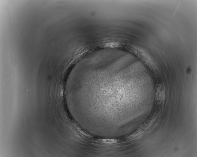 X0000098180363200805011041