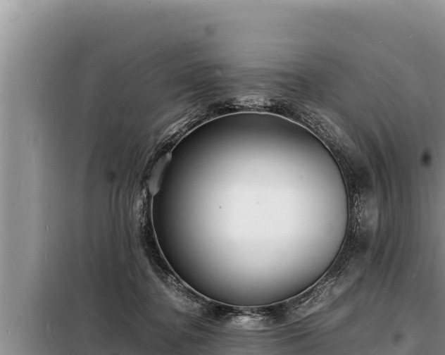 X0000098180364200805011041