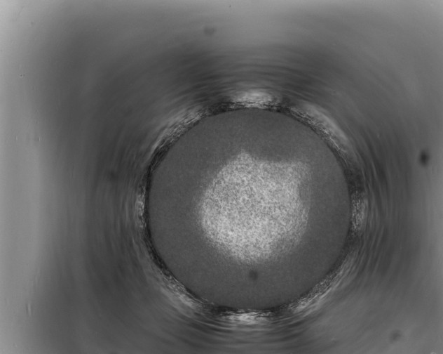 X0000098180365200805011041