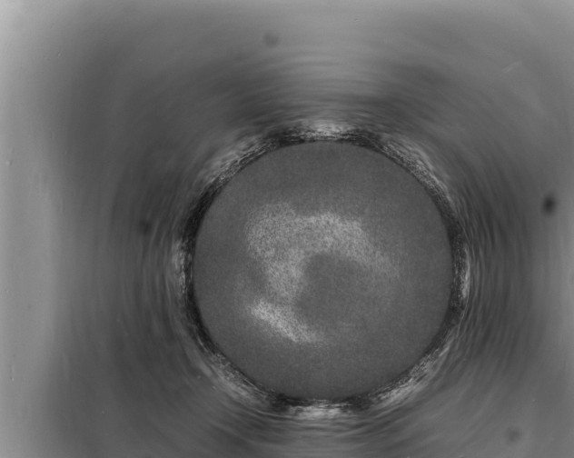 X0000098180366200805011041