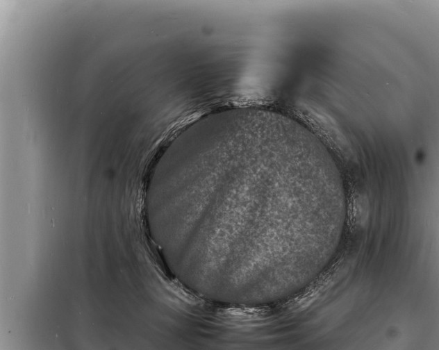 X0000098180367200805011041