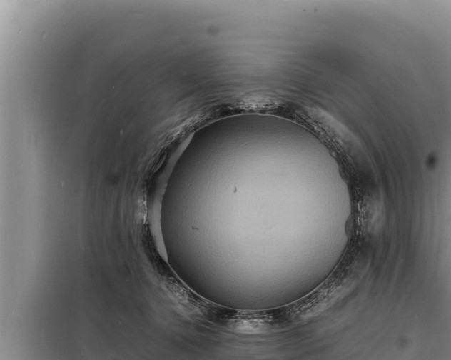 X0000098180368200805011041