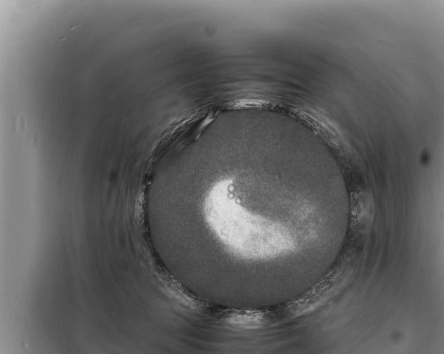 X0000098180369200805011041