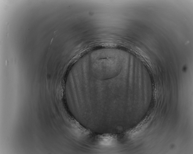 X0000098180370200805011041