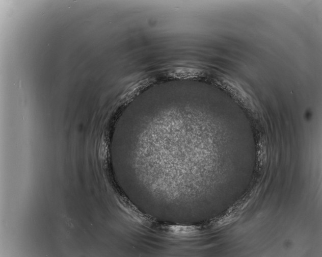 X0000098180371200805011041