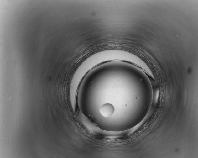 X0000098180372200805011041