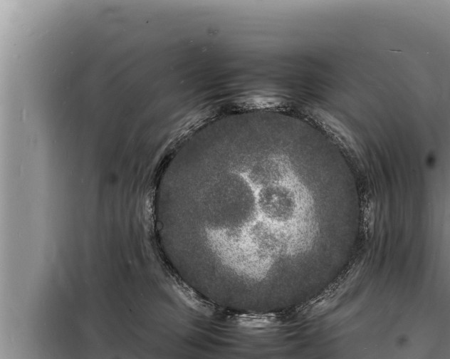 X0000098180373200805011041