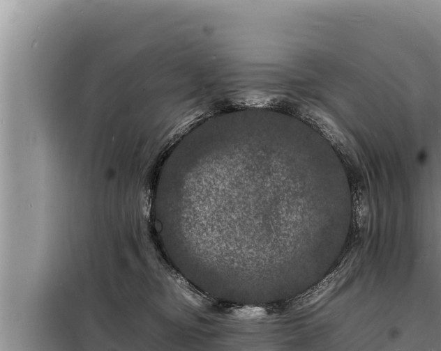 X0000098180374200805011041