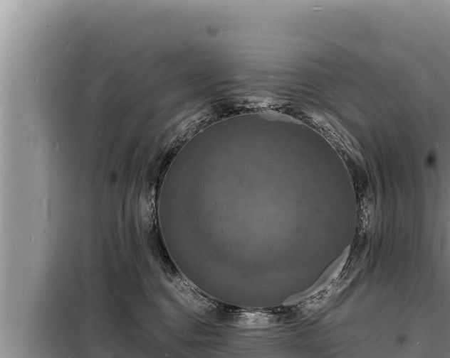 X0000098180376200805011041