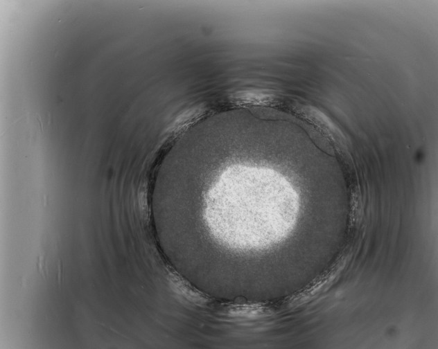 X0000098180377200805011041