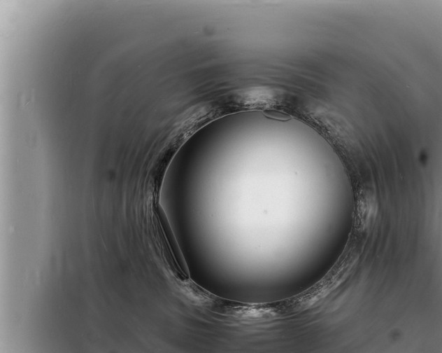 X0000098180379200805011041