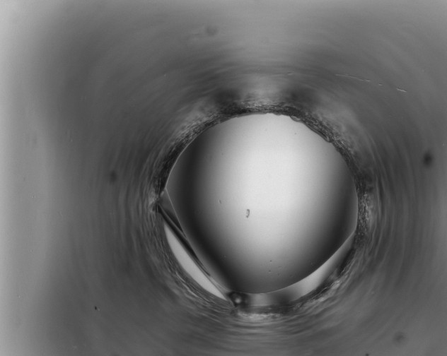 X0000098180380200805011041